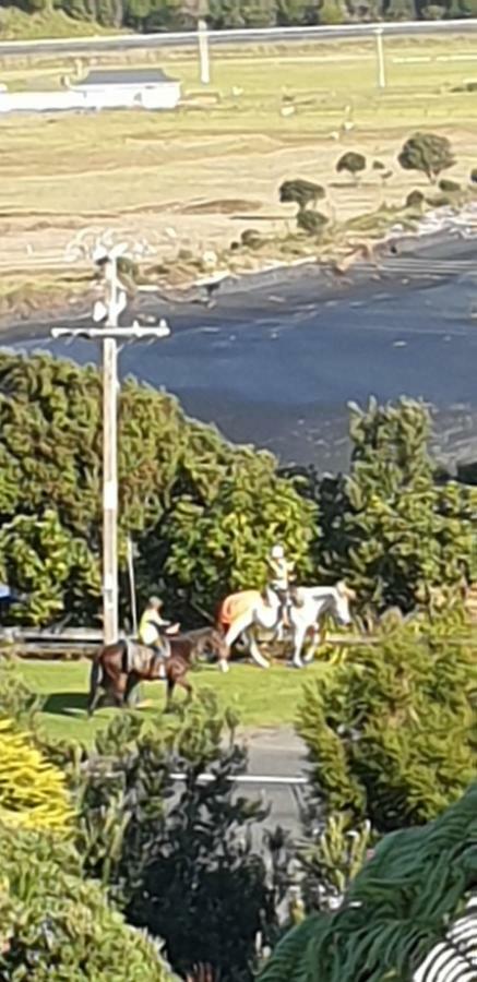 Mokau Motels エクステリア 写真